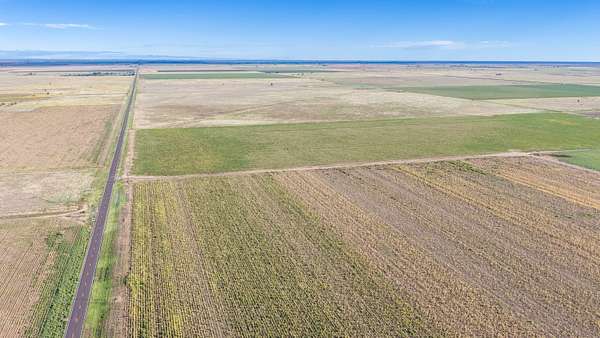 171 Acres of Land for Sale in Littlefield, Texas