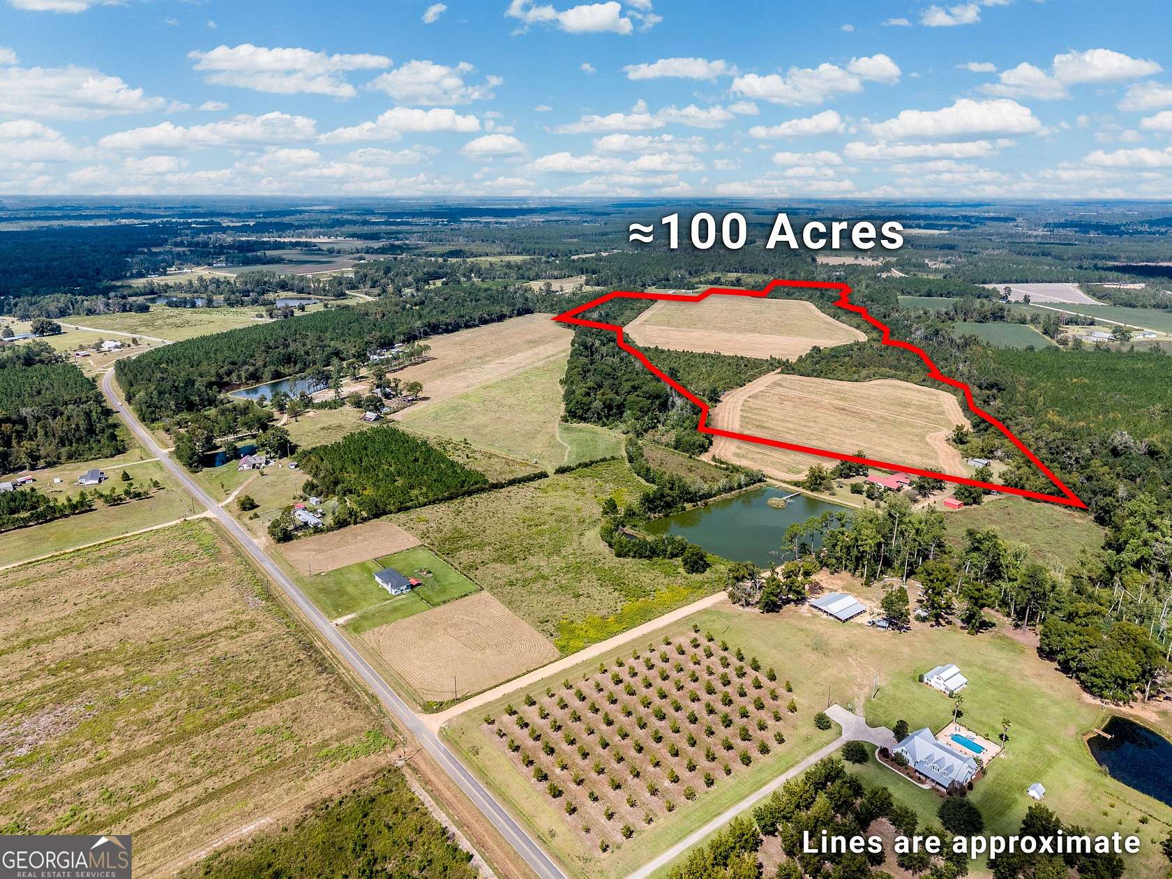 100 Acres of Recreational Land for Sale in Alma, Georgia