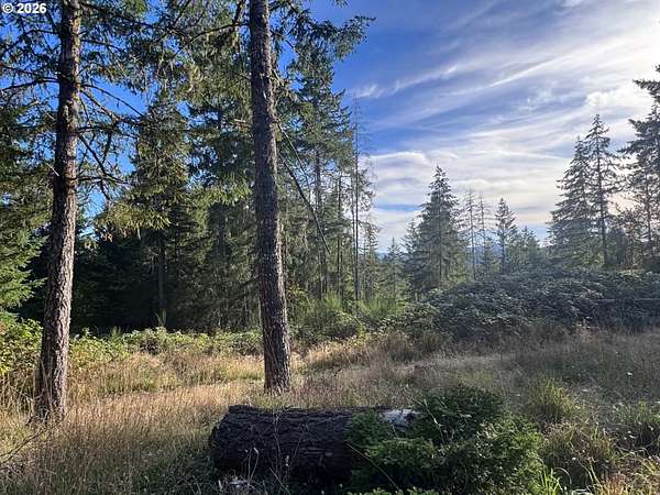 14 Acres of Land for Sale in Junction City, Oregon