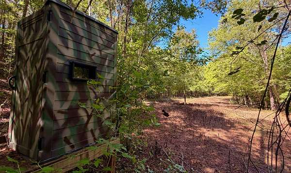 155 Acres of Recreational Land for Sale in Minter, Alabama