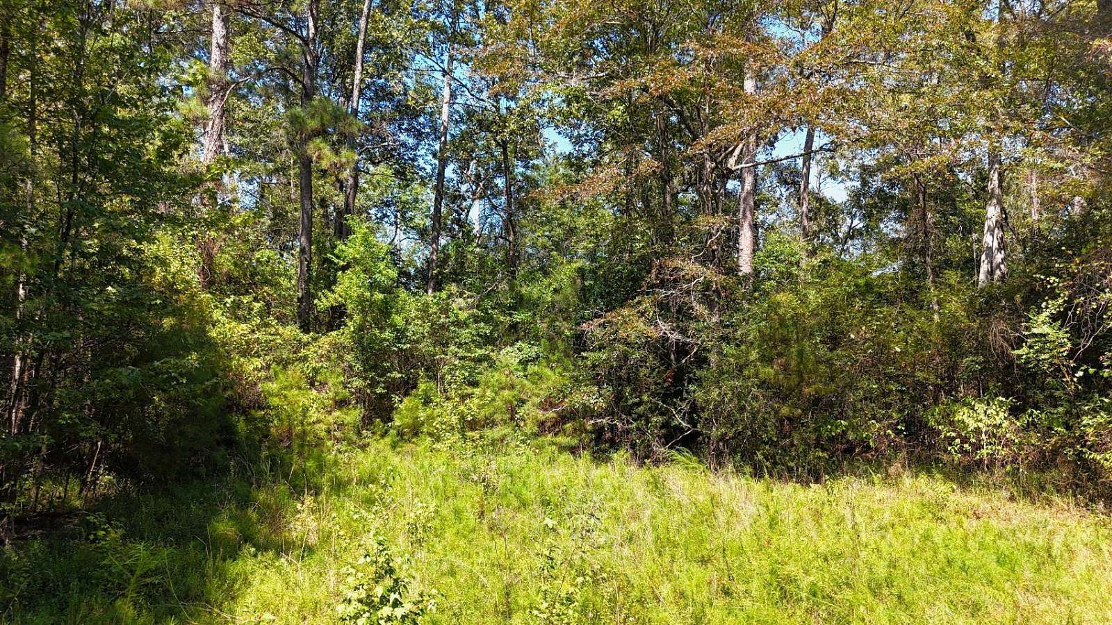 40 Acres of Recreational Land for Sale in Georgiana, Alabama