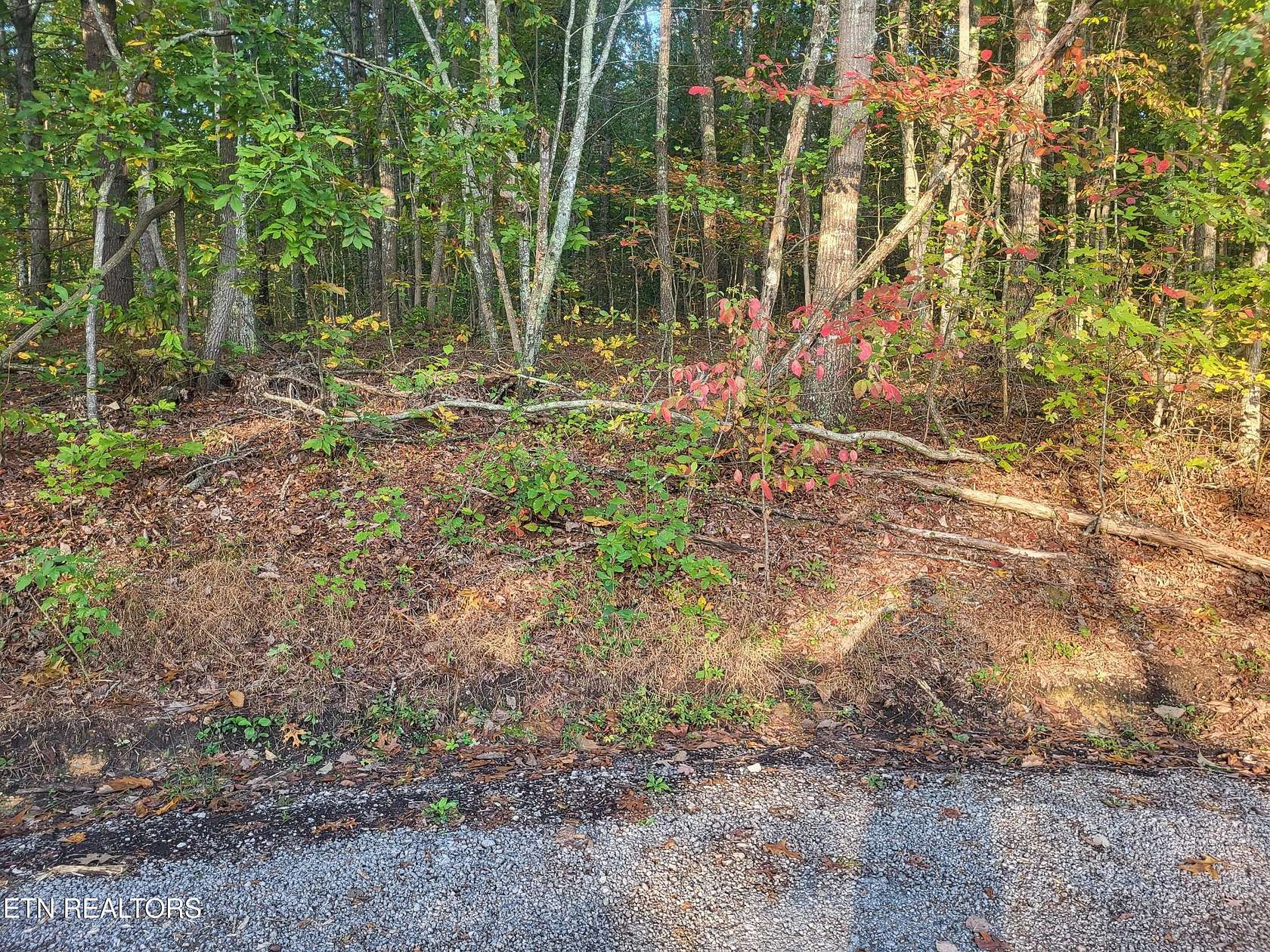 0.31 Acres of Residential Land for Sale in Crossville, Tennessee