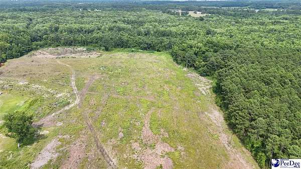 55 Acres of Recreational Land for Sale in Timmonsville, South Carolina