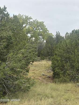 2.52 Acres of Residential Land for Sale in Concho, Arizona
