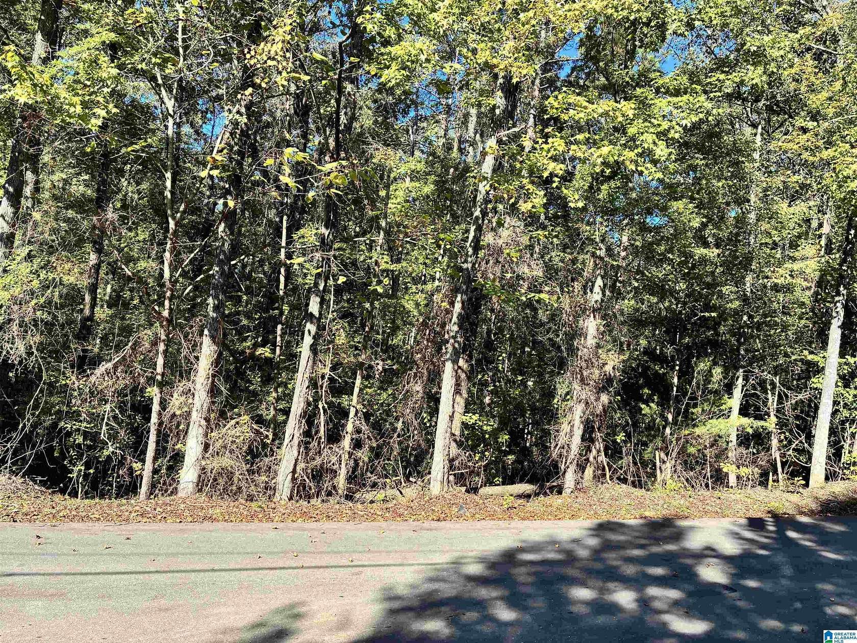 0.49 Acres of Residential Land for Sale in Vance, Alabama