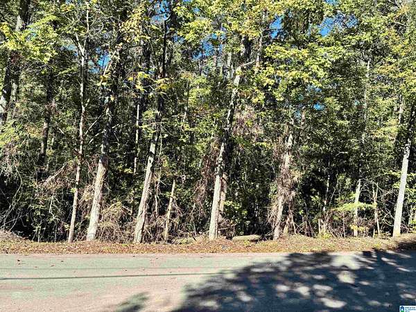 0.49 Acres of Residential Land for Sale in Vance, Alabama
