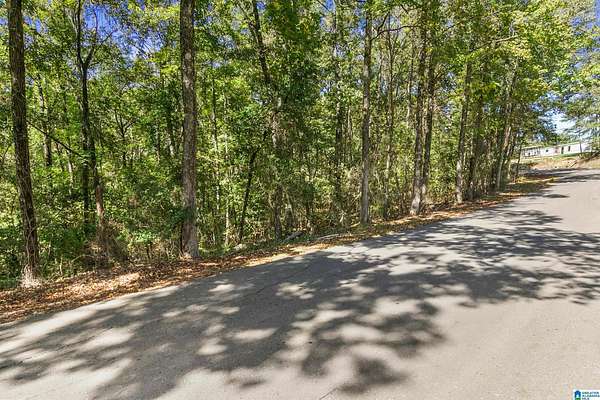 0.49 Acres of Residential Land for Sale in Vance, Alabama