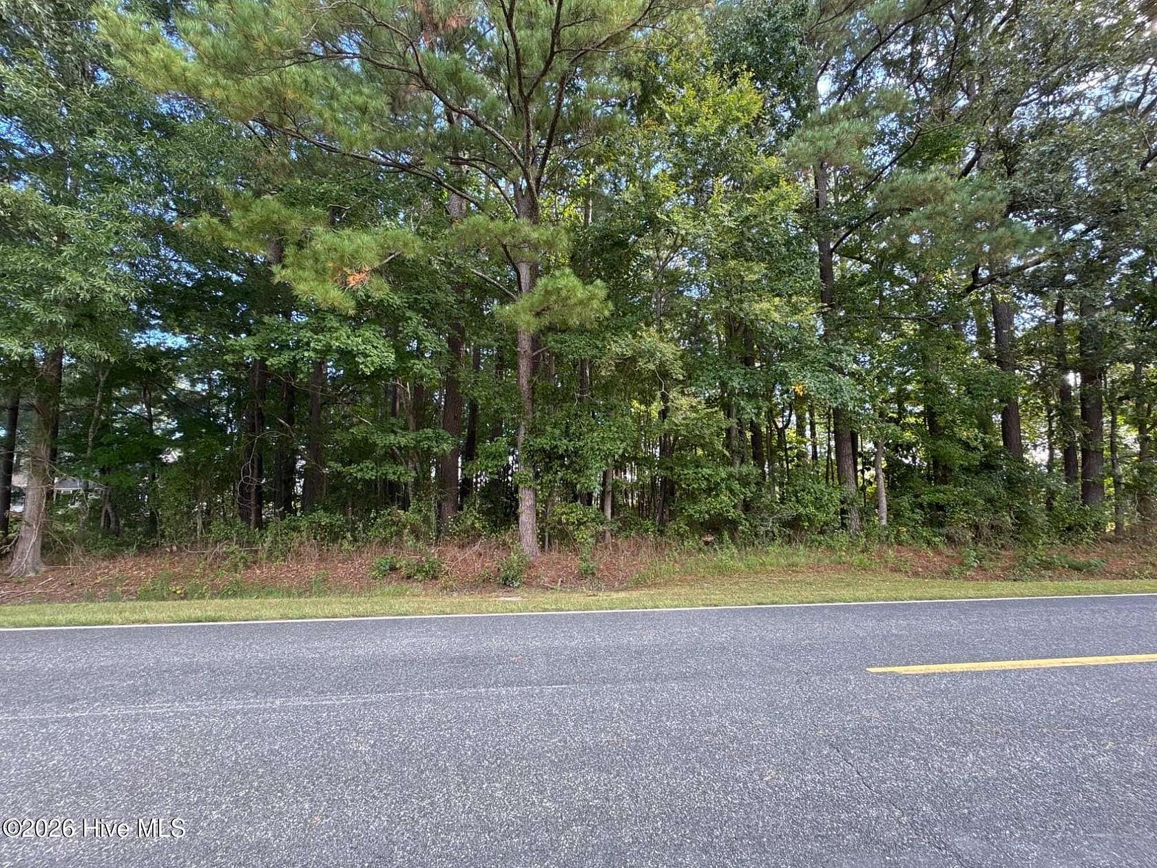 1 Acre of Residential Land for Sale in Eure, North Carolina