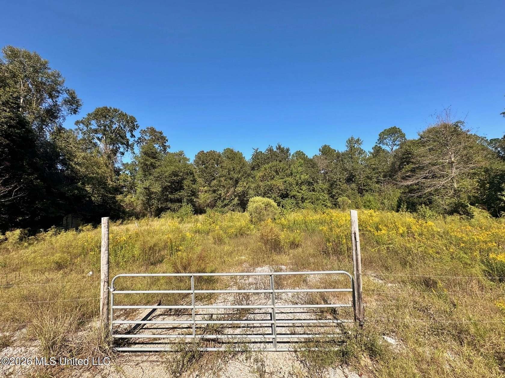 1 Acre of Residential Land for Sale in Beaumont, Mississippi