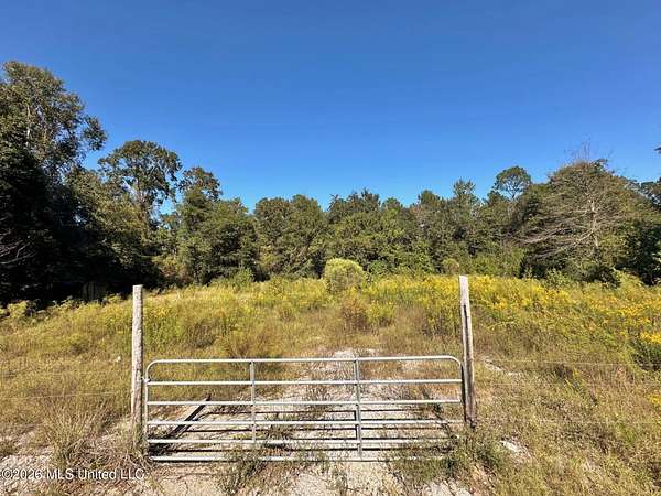 1 Acre of Residential Land for Sale in Beaumont, Mississippi