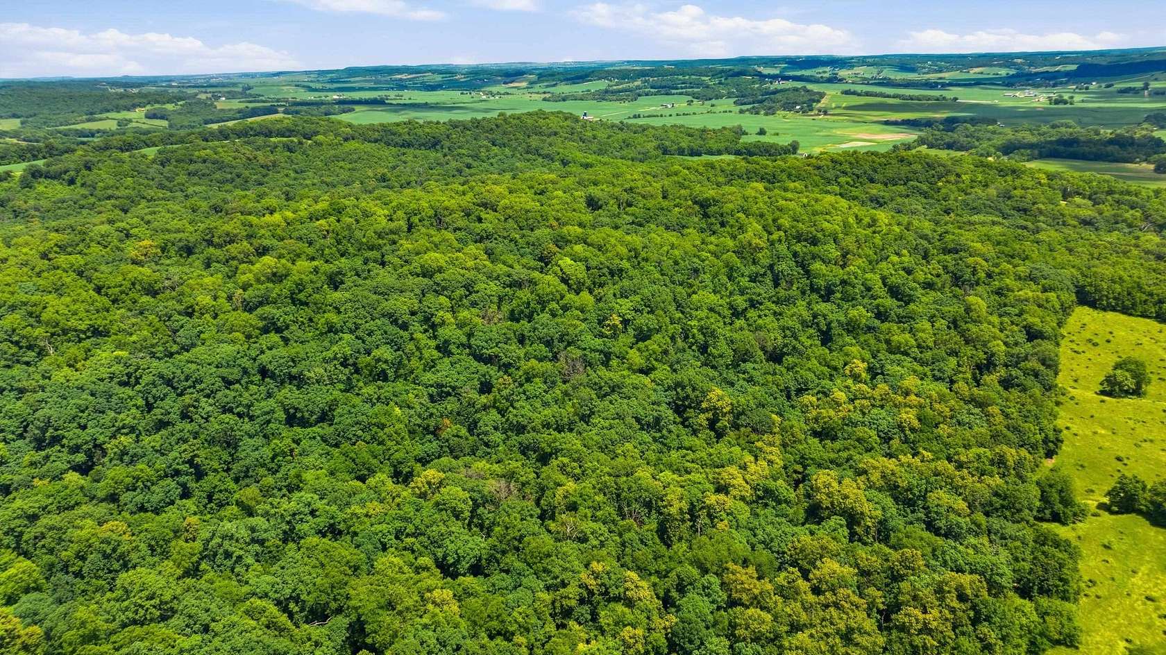 37 Acres of Recreational & Residential Land for Sale in Hanover, Illinois