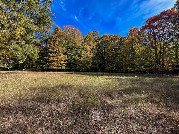 20 Acres of Recreational & Residential Land for Sale in Ludington, Michigan