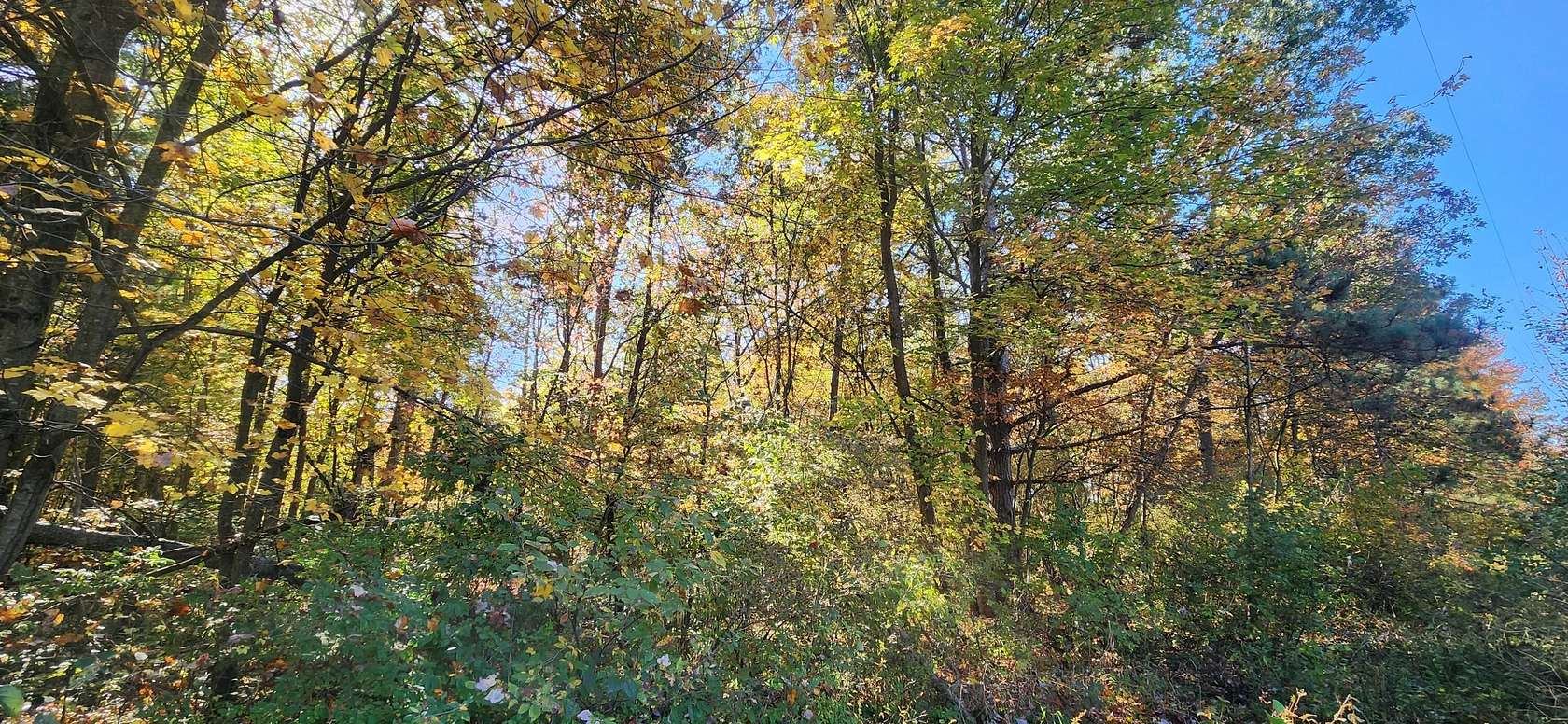 10 Acres of Residential Land for Sale in Muskegon, Michigan