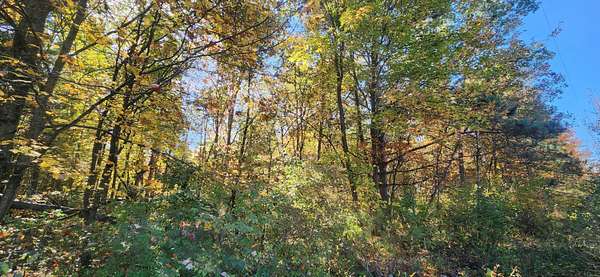 10 Acres of Residential Land for Sale in Muskegon, Michigan