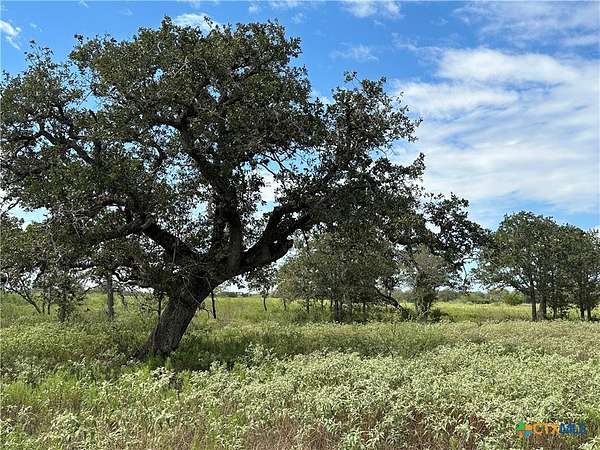 11.8 Acres of Land for Sale in Raisin, Texas