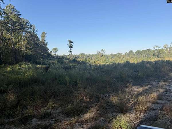 15 Acres of Land for Sale in Pomaria, South Carolina