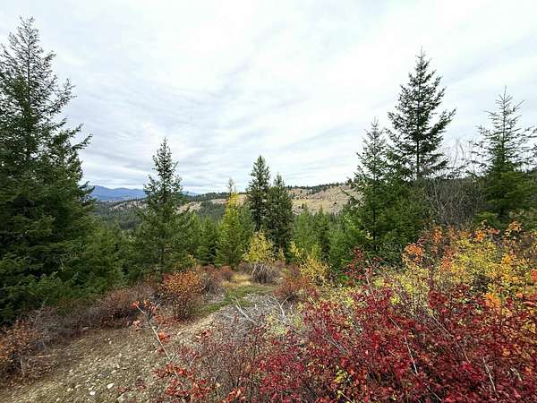 60 Acres of Recreational Land for Sale in Curlew, Washington