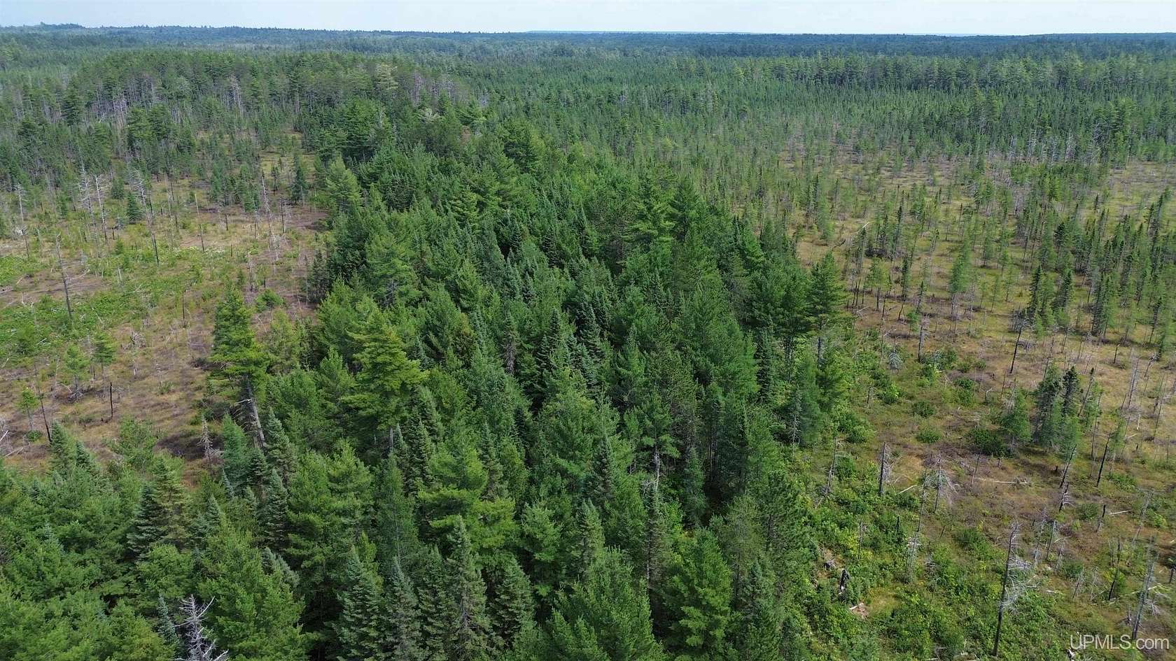 85 Acres of Recreational Land for Sale in Newberry, Michigan