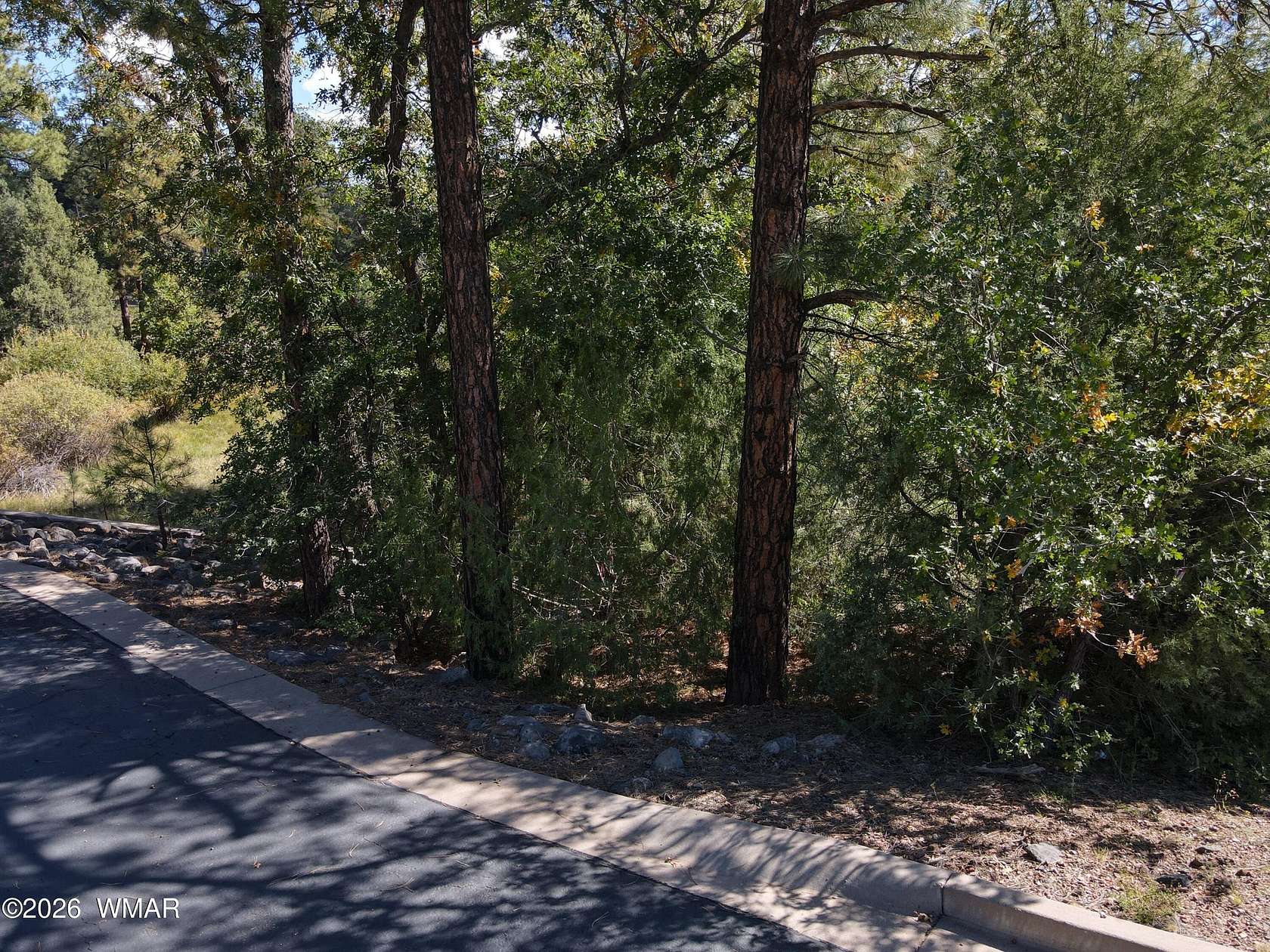 0.28 Acres of Residential Land for Sale in Lakeside, Arizona