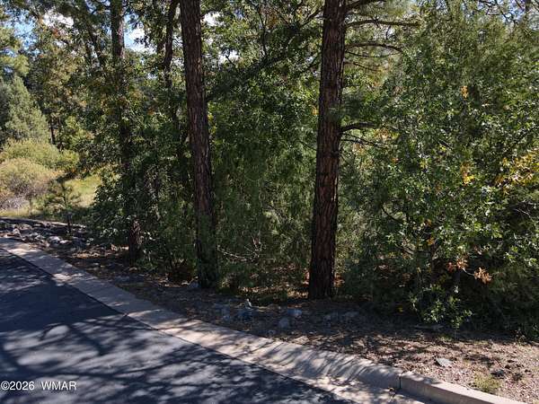 0.28 Acres of Residential Land for Sale in Lakeside, Arizona