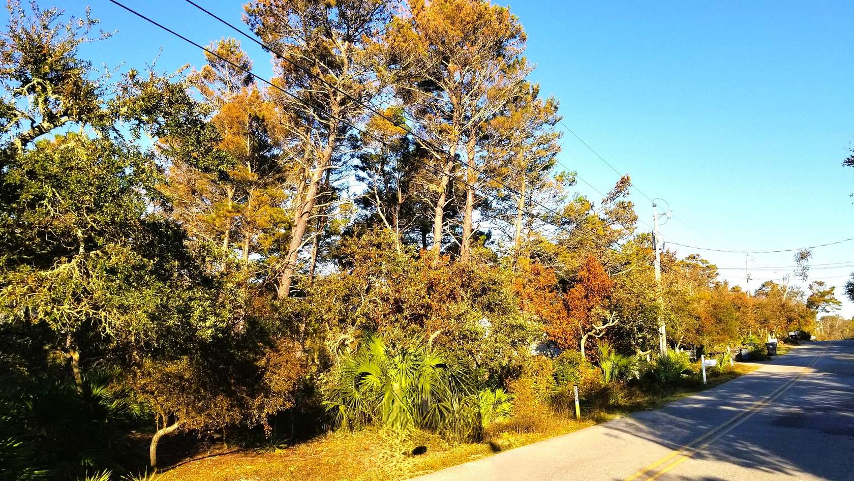 0.22 Acres of Residential Land for Sale in Santa Rosa Beach, Florida