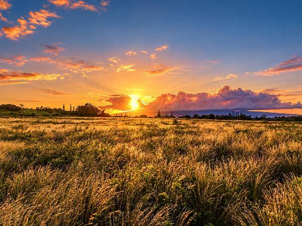 15.6 Acres of Land for Sale in Makawao, Hawaii