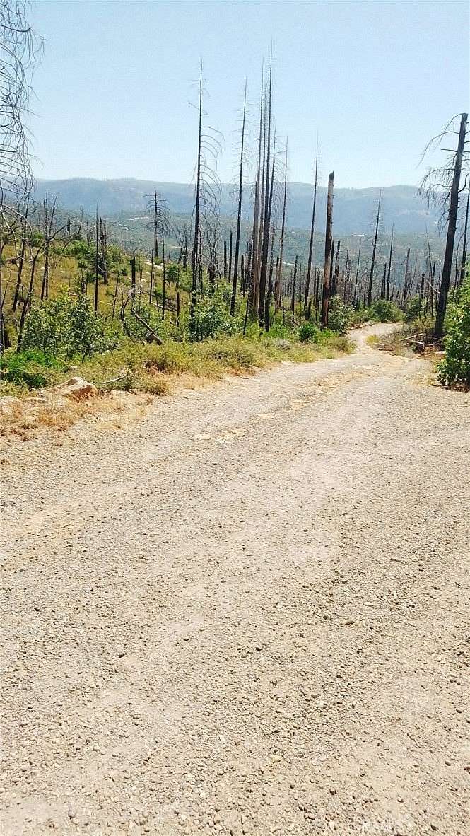 67.3 Acres of Recreational & Residential Land for Sale in Berry Creek, California