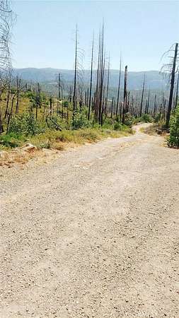 67.3 Acres of Recreational & Residential Land for Sale in Berry Creek, California
