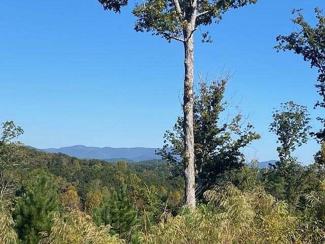 1 Acre of Residential Land for Sale in Ellijay, Georgia