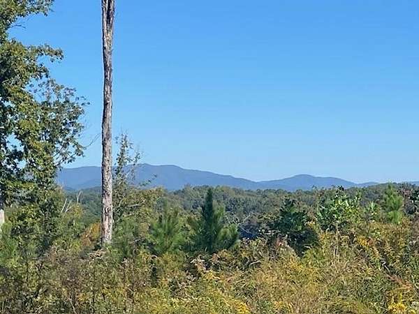 1 Acre of Residential Land for Sale in Ellijay, Georgia