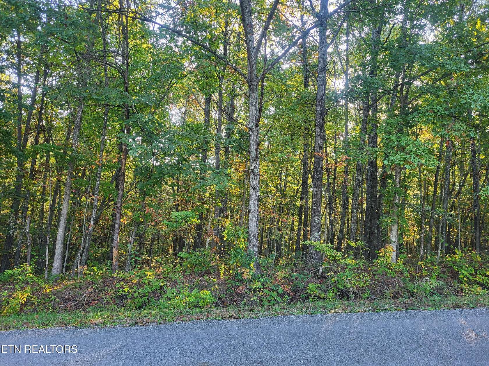 0.26 Acres of Residential Land for Sale in Crossville, Tennessee