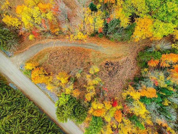 10.1 Acres of Recreational & Residential Land for Sale in Elmore Town, Vermont