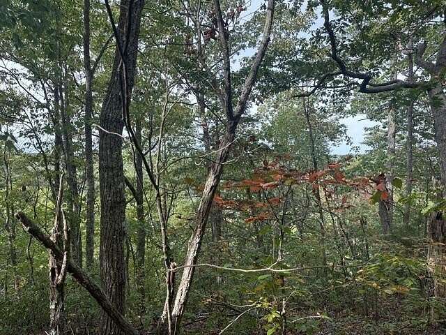 Land for Sale in Wilder, Tennessee