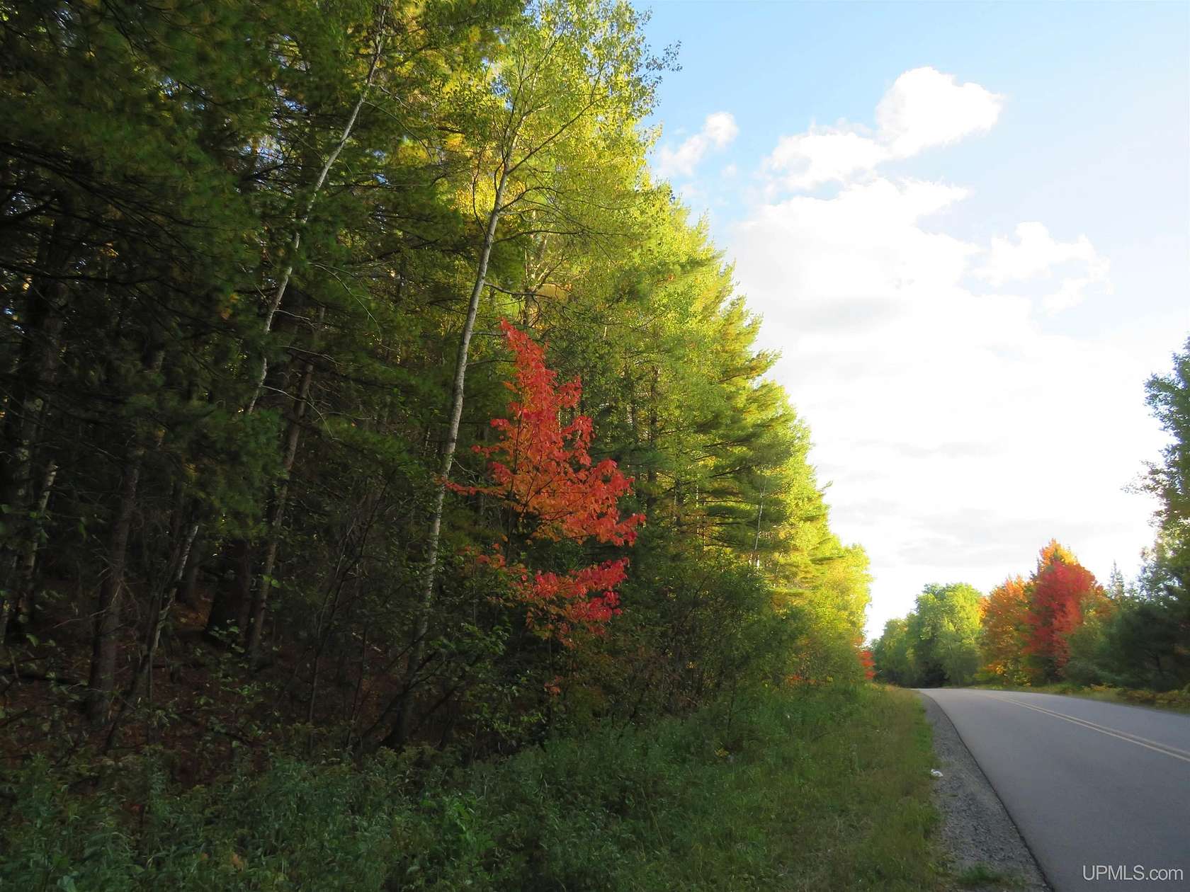 40 Acres of Recreational & Residential Land for Sale in Republic, Michigan