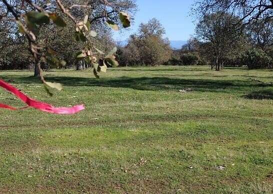 120 Acres of Land for Sale in Cottonwood, California