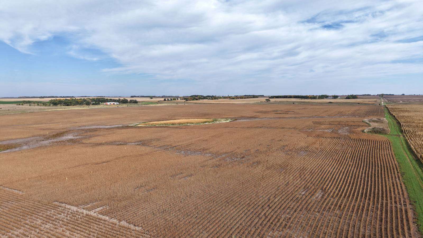 80 Acres of Agricultural Land for Auction in Sisseton, South Dakota