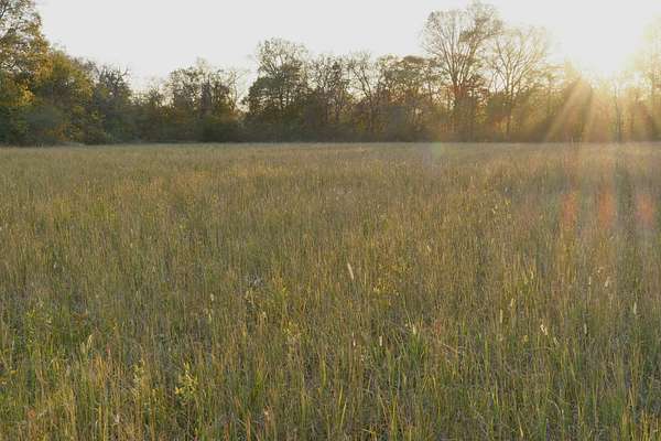 10.1 Acres of Land for Sale in Chapel Hill, Tennessee
