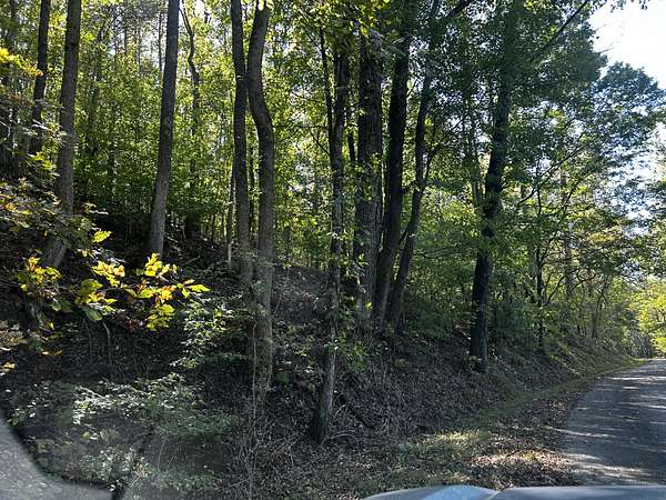 40 Acres of Land for Sale in Prospect, Tennessee