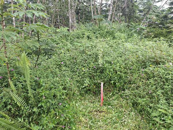 0.19 Acres of Residential Land for Sale in Pahoa, Hawaii