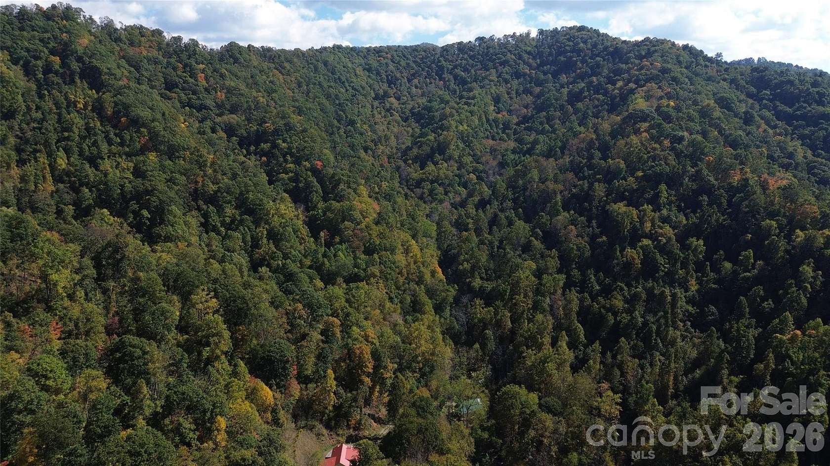 36.6 Acres of Recreational & Residential Land for Sale in Mars Hill, North Carolina