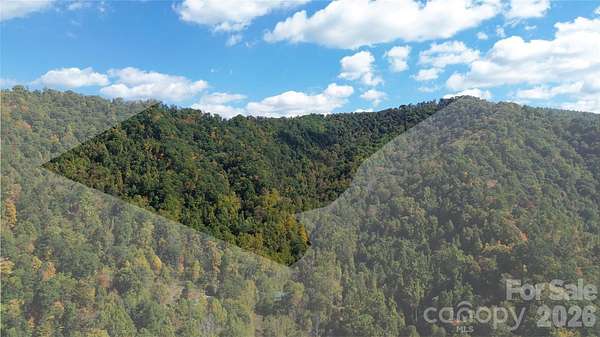 36.6 Acres of Recreational & Residential Land for Sale in Mars Hill, North Carolina