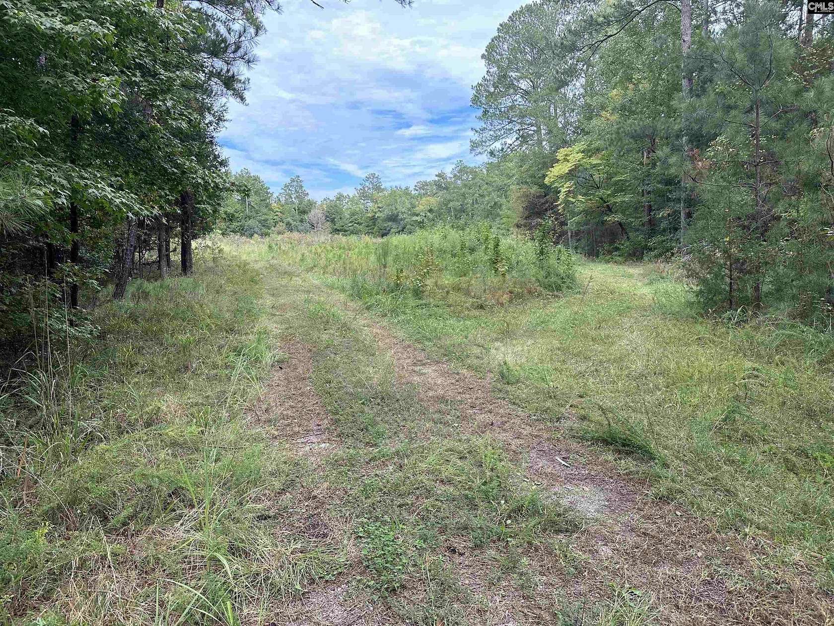 29.6 Acres of Recreational Land for Sale in Prosperity, South Carolina