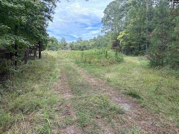 29.6 Acres of Recreational Land for Sale in Prosperity, South Carolina