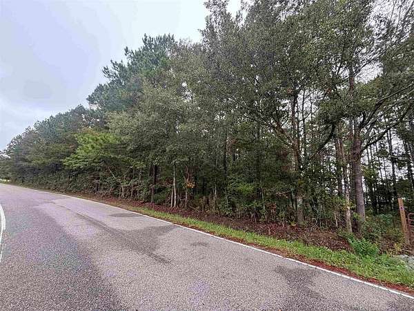 1 Acre of Land for Sale in Loris, South Carolina