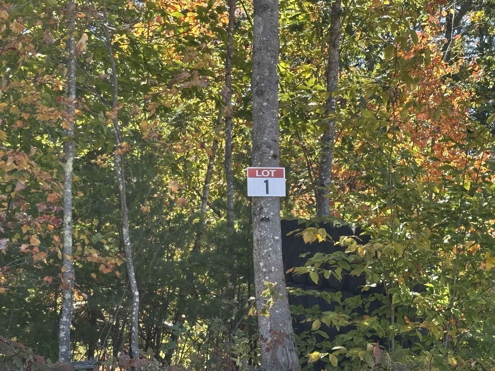 54.7 Acres of Land for Sale in Tuftonboro, New Hampshire