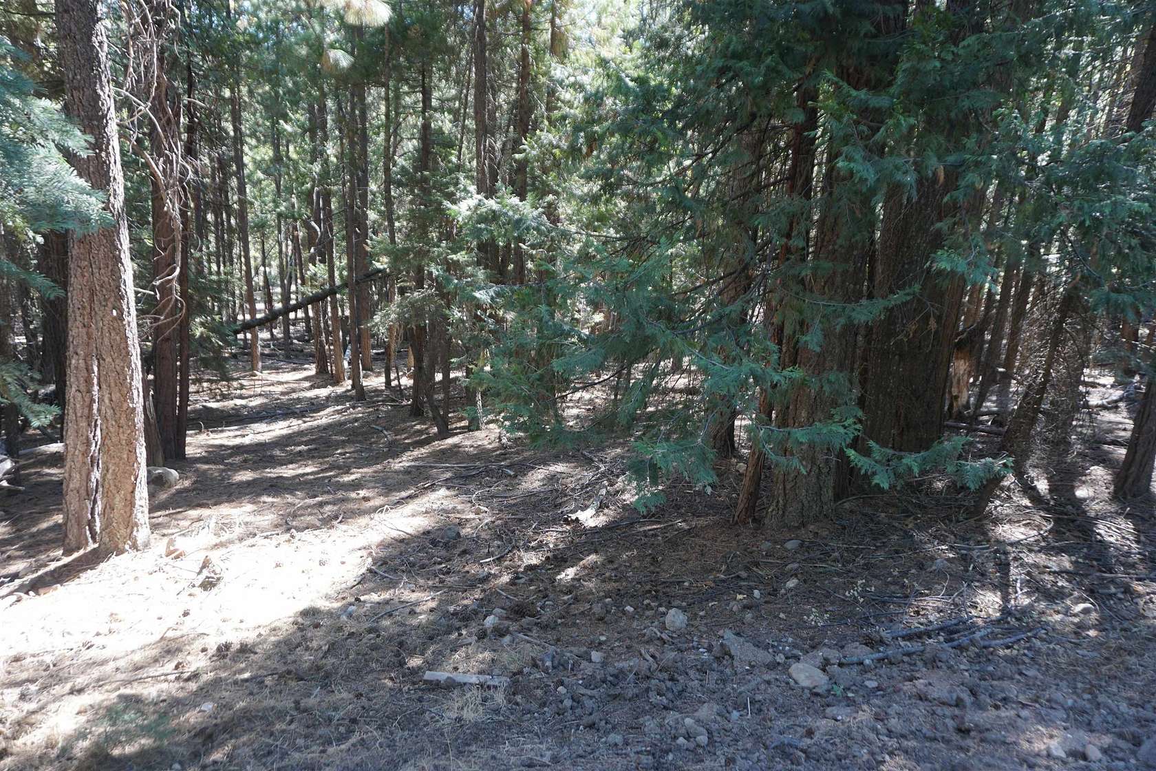 0.47 Acres of Land for Sale in Quincy, California