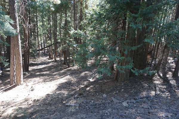 0.47 Acres of Land for Sale in Quincy, California