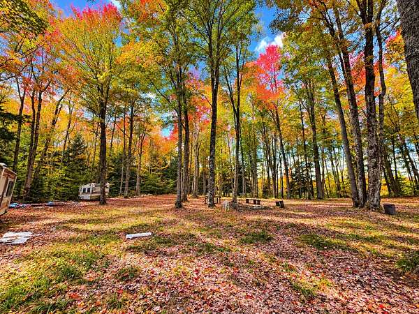 10 Acres of Recreational Land for Sale in Kalkaska, Michigan
