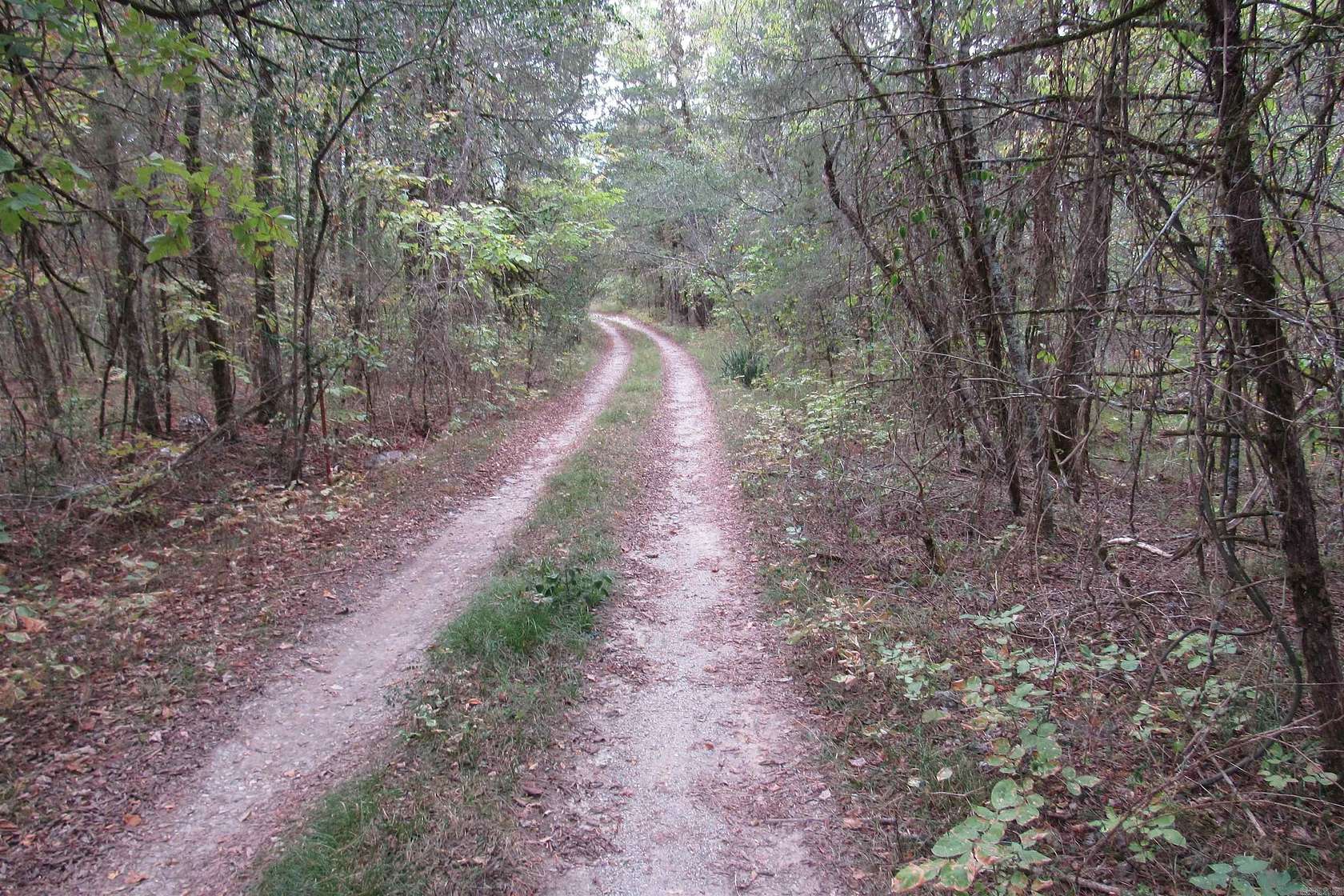 20 Acres of Recreational & Residential Land for Sale in Jessieville, Arkansas