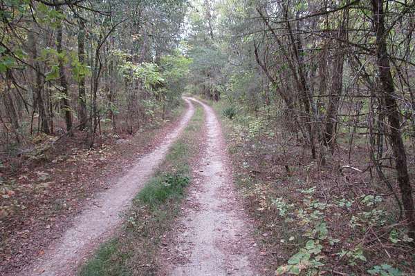 20 Acres of Recreational & Residential Land for Sale in Jessieville, Arkansas